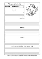 Pflanzensteckbriefvorlage-Löwenzahn-SW.pdf